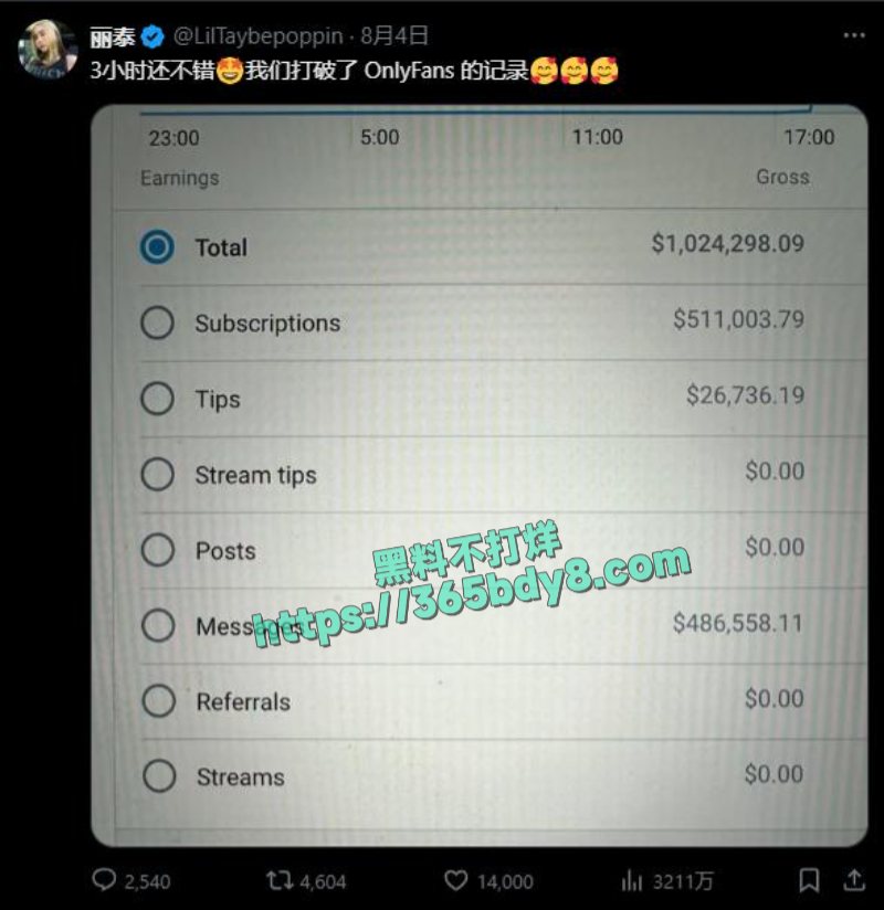 LilTay三小时赚百万 5