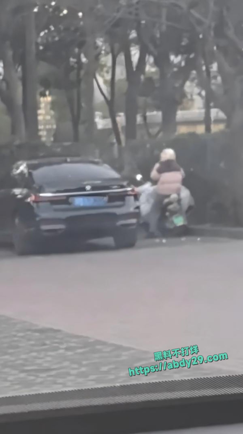 有钱人嫖娼直接玩车震3