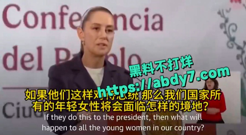 墨西哥女总统谢因鲍姆遭街头性骚扰 8