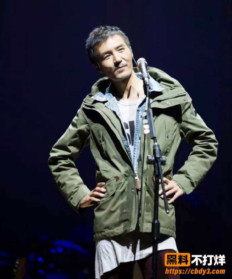 歌手朴树出轨演员王子文12