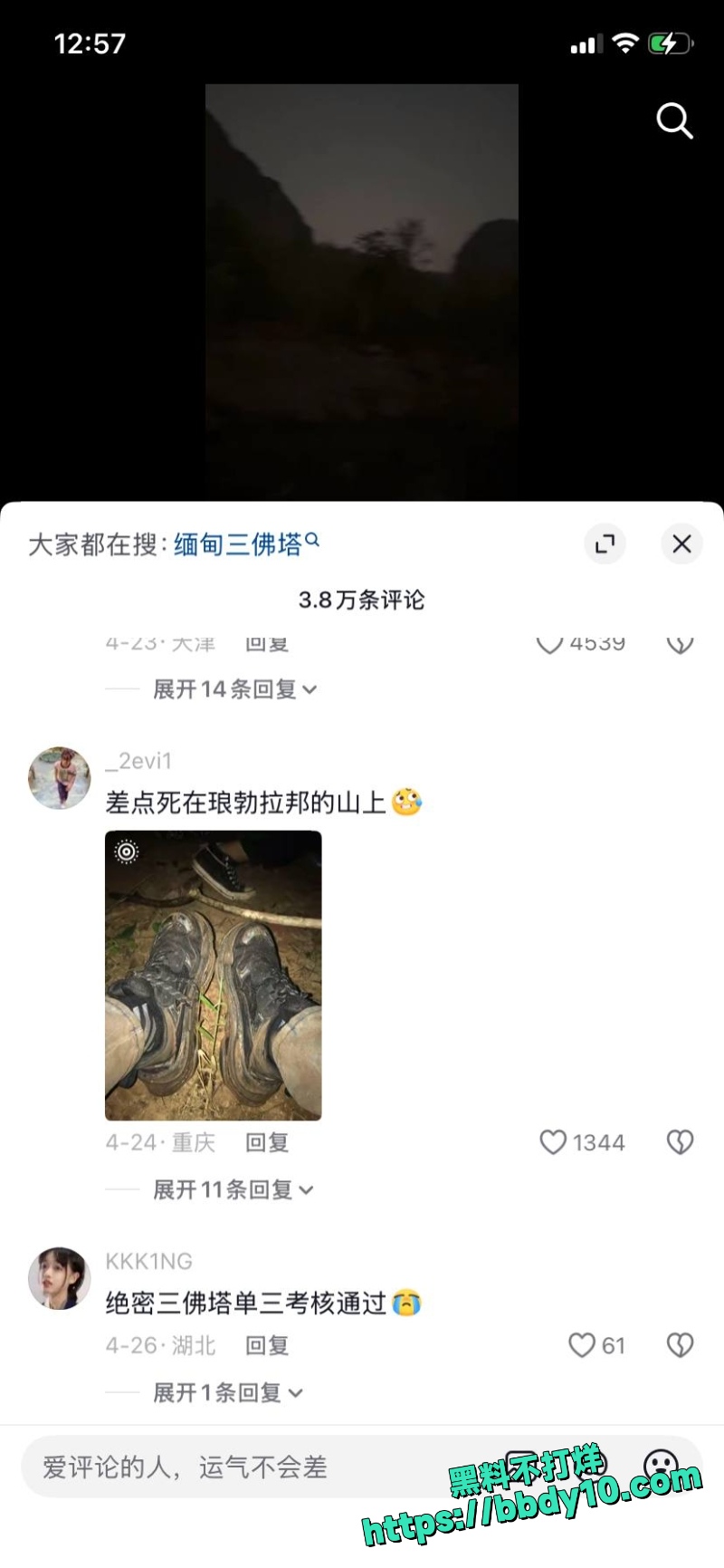 杨磊 13