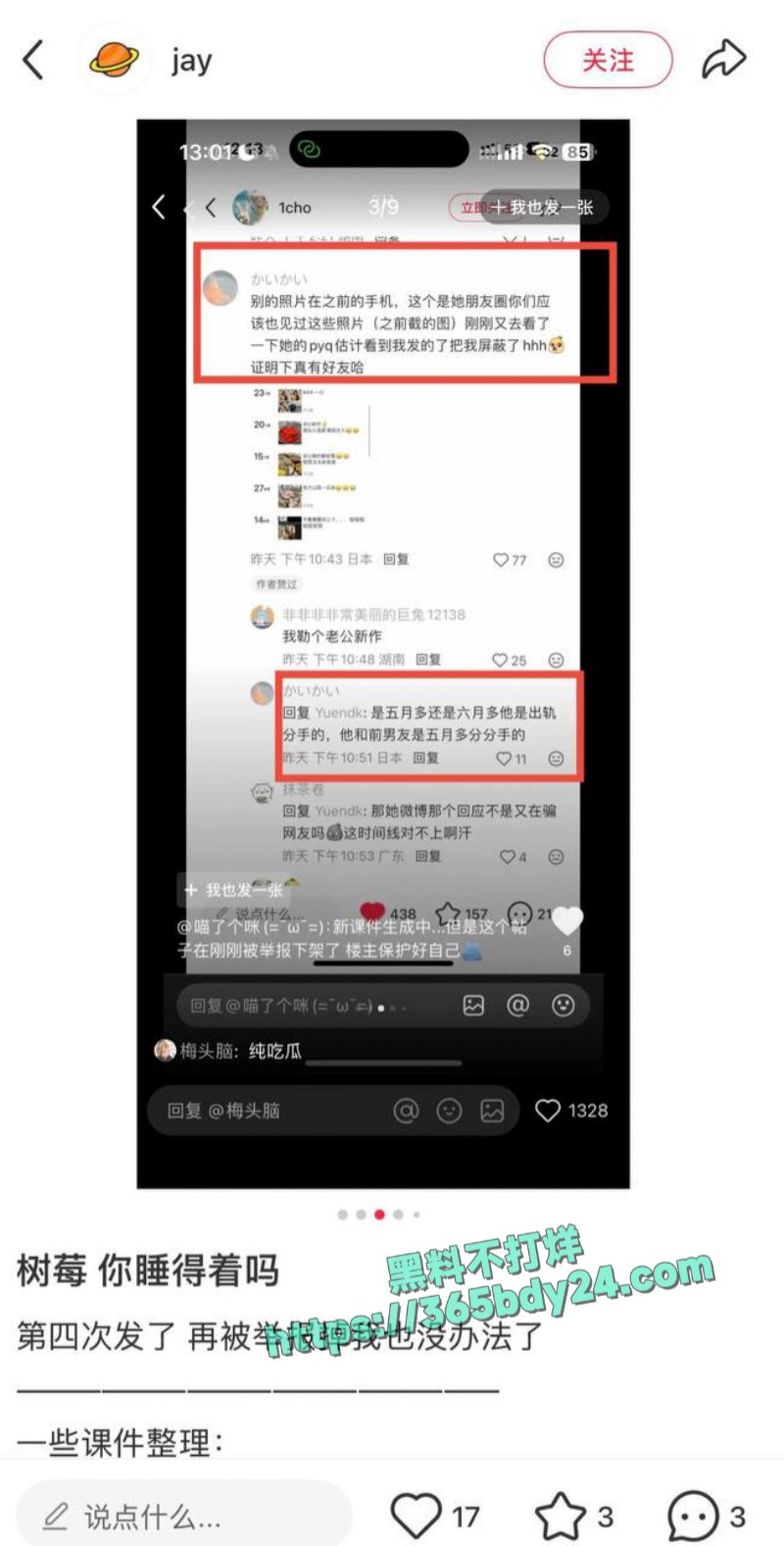 抖音网红树莓塌房B2 2