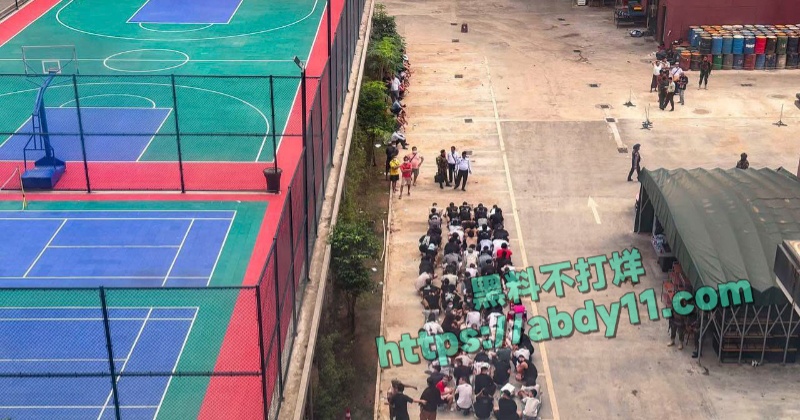 缅甸诈骗头目佘智江引渡回国 19