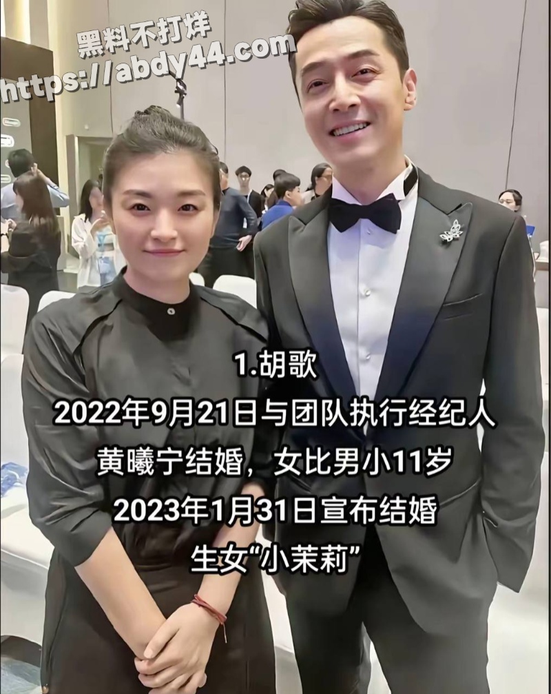 胡歌的瓜10