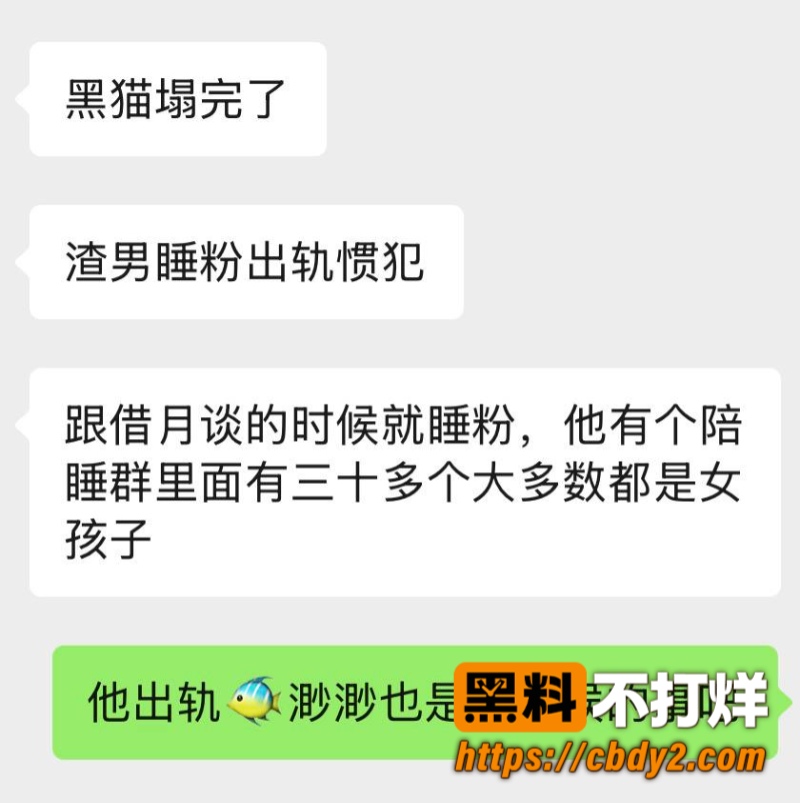 黑猫大少爷24