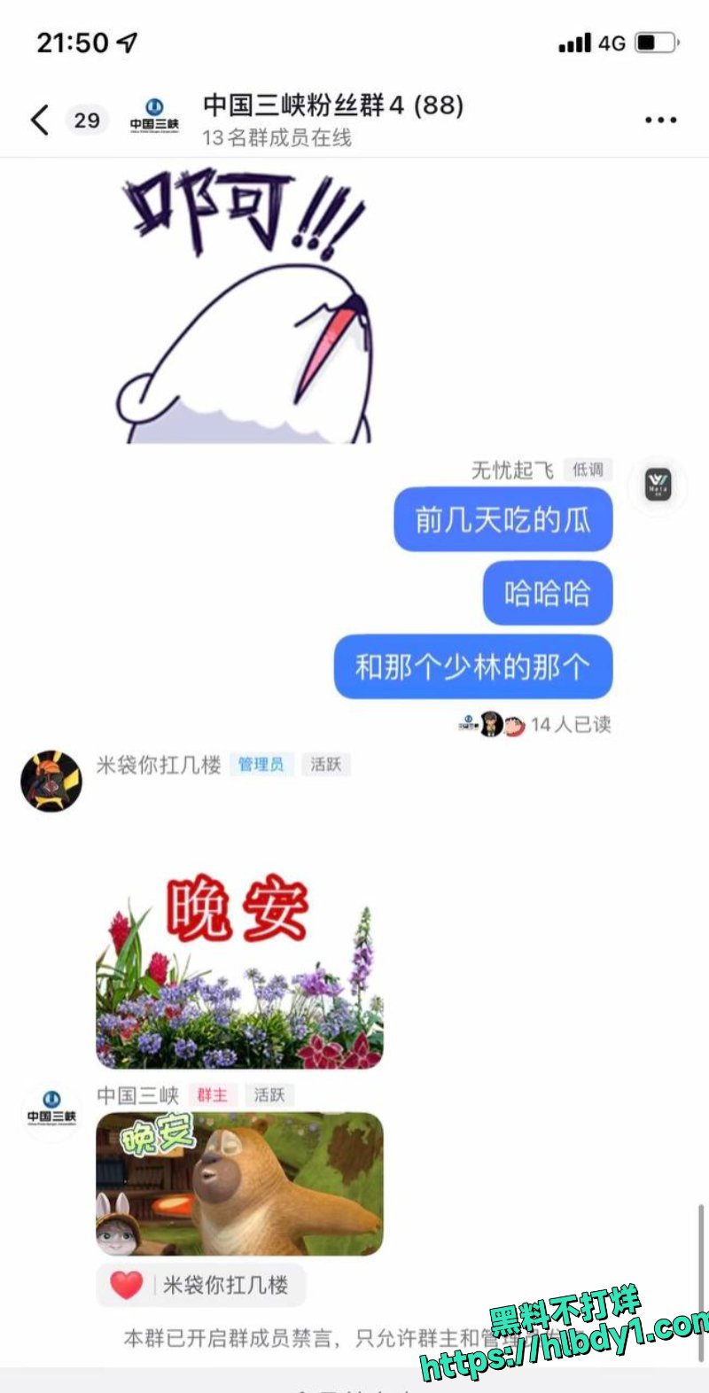 15.jpg