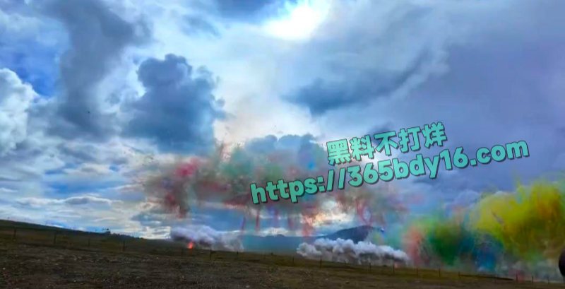 蔡国强升龙烟花秀 9