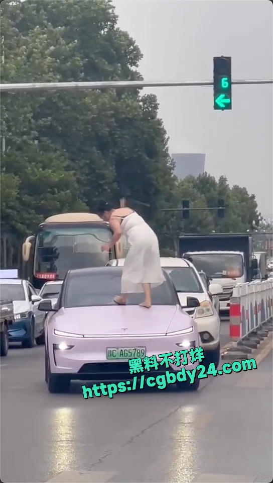 河南 洛阳 多段女子在机动车道上持械打砸多辆车的视频引发关注 8
