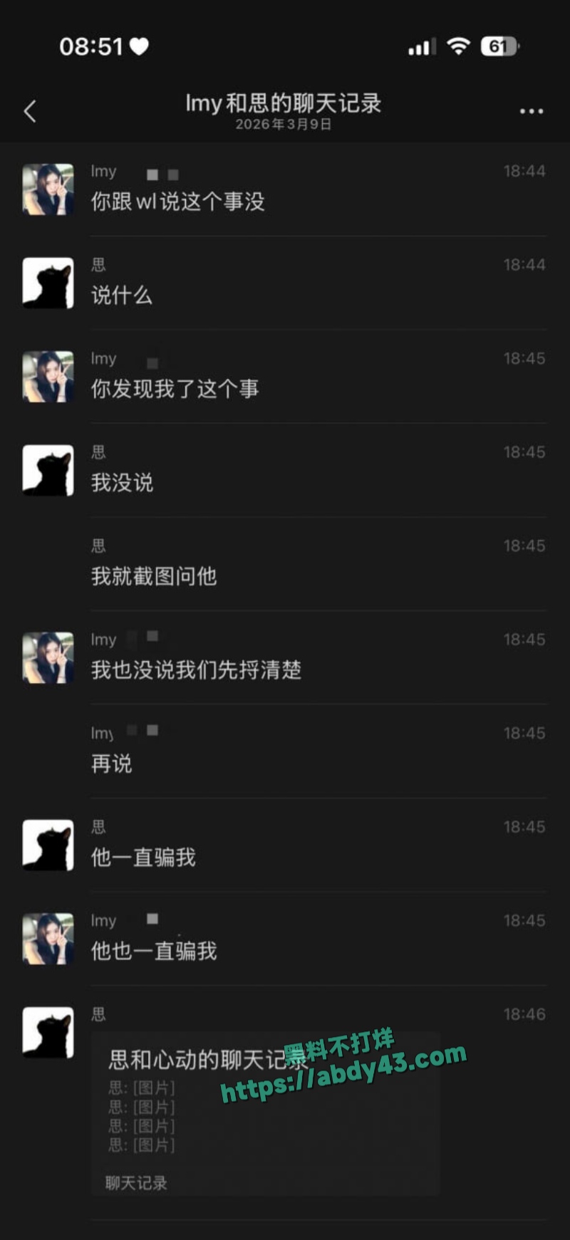 武汉W车队不吃猪肝 12