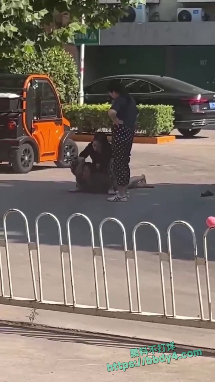 愤怒正妻当街暴打小三02