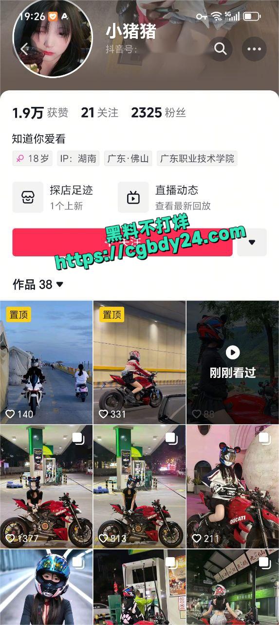 女骑士陨落
