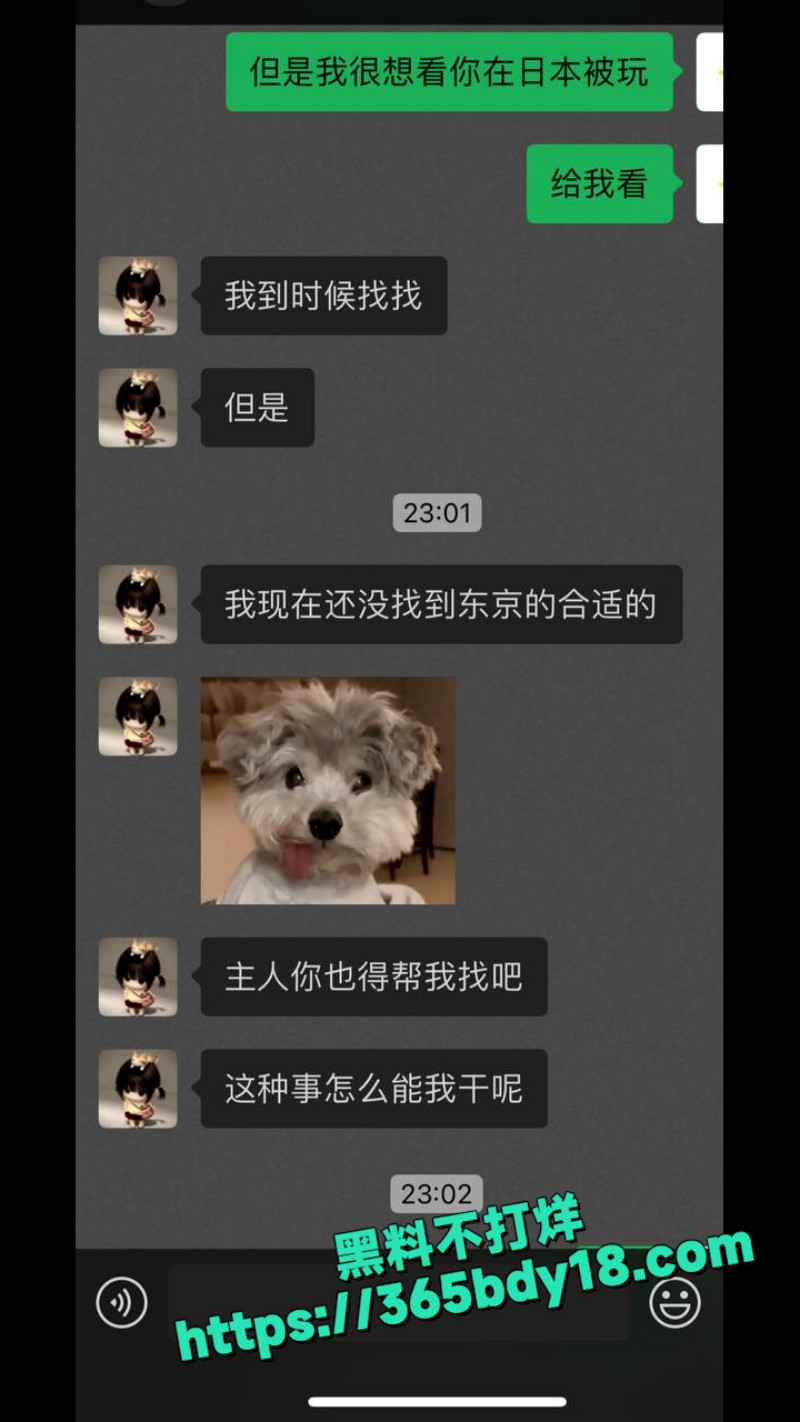竖版模版.00003520.Still051