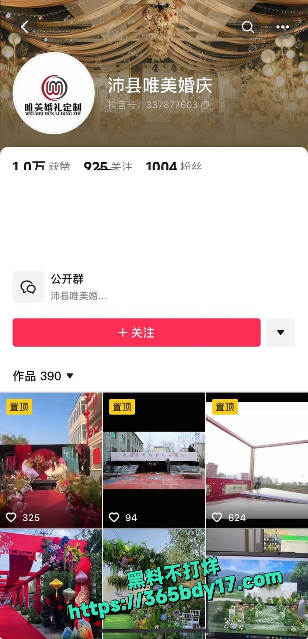 江苏沛县朱王庄 19