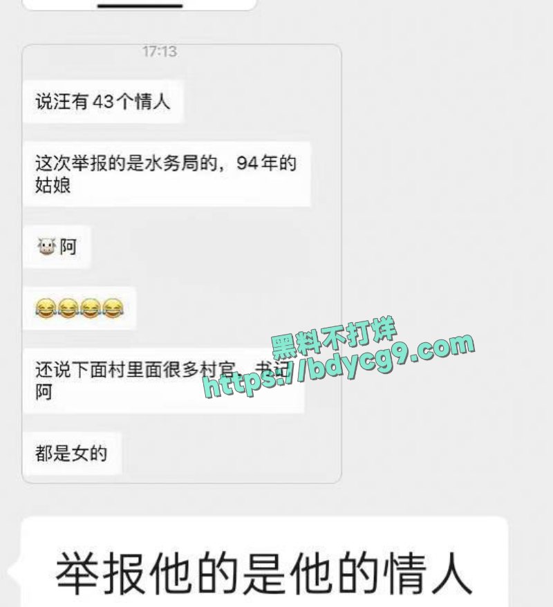 江苏太仓市委书记汪香元落马被情人举报出轨偷腥贪污腐败4