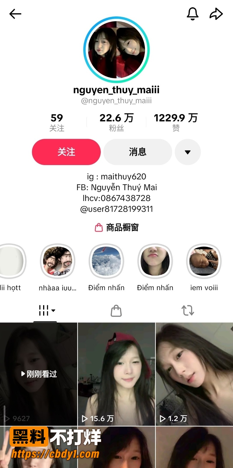 越南华裔网红阮翠梅 1