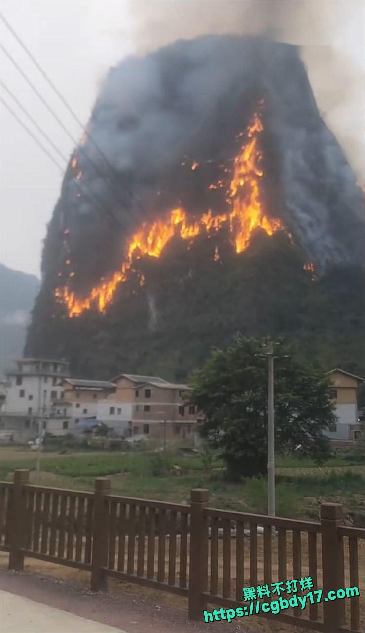 龙美山起火4