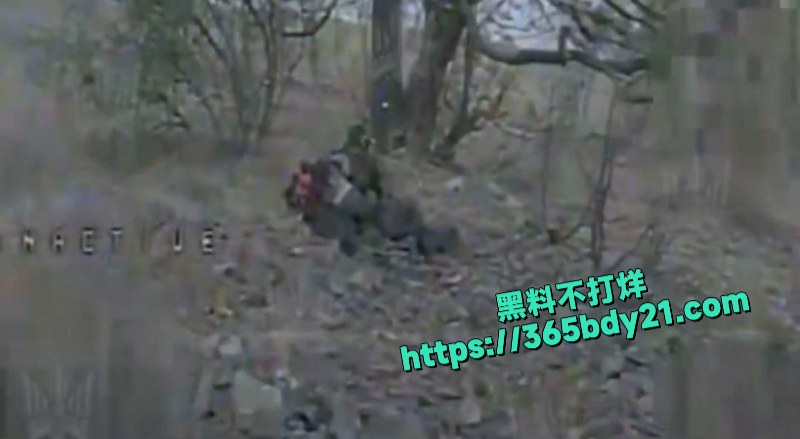乌克兰第414旅无人机攻击画面最新流出 9