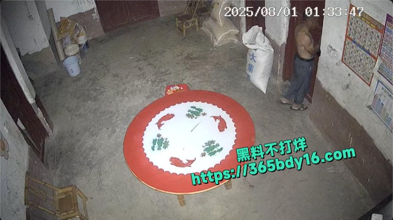 监控拍下母亲偷情视频2