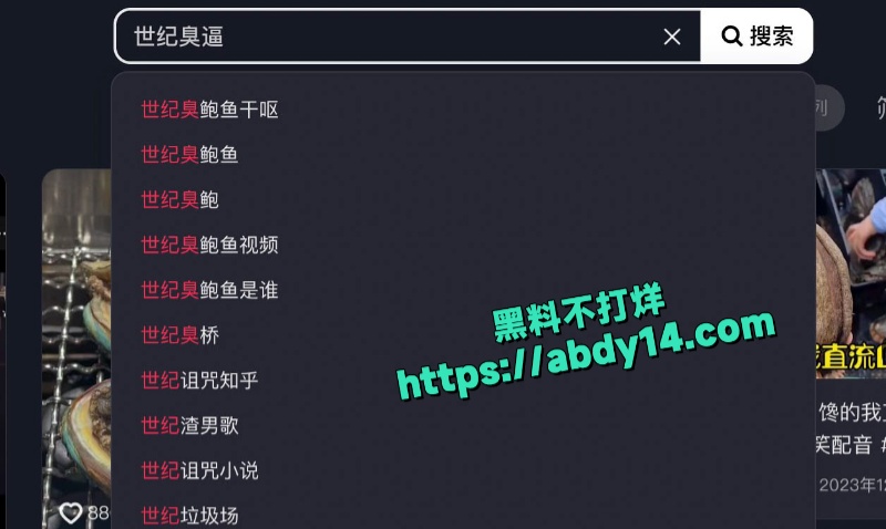 探花大神偶遇绝世臭鲍鱼 2
