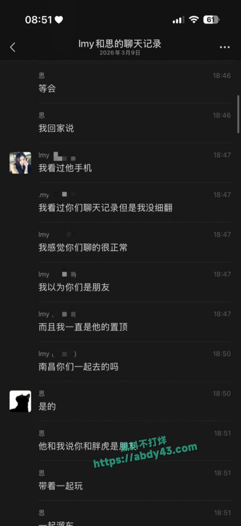 武汉W车队不吃猪肝 14