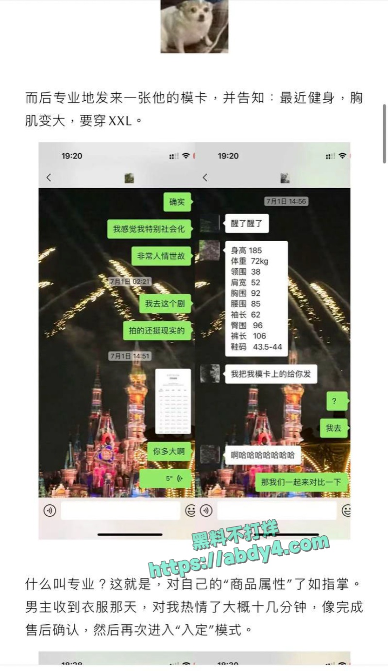 四川高颜值网红npc王晨软饭硬吃 5