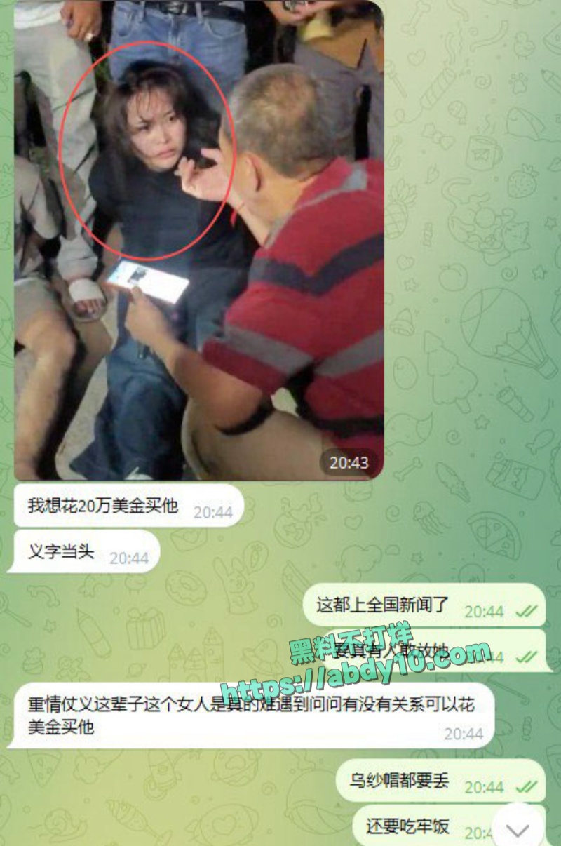 神秘女子递枪助6越南罪犯逃脱 1