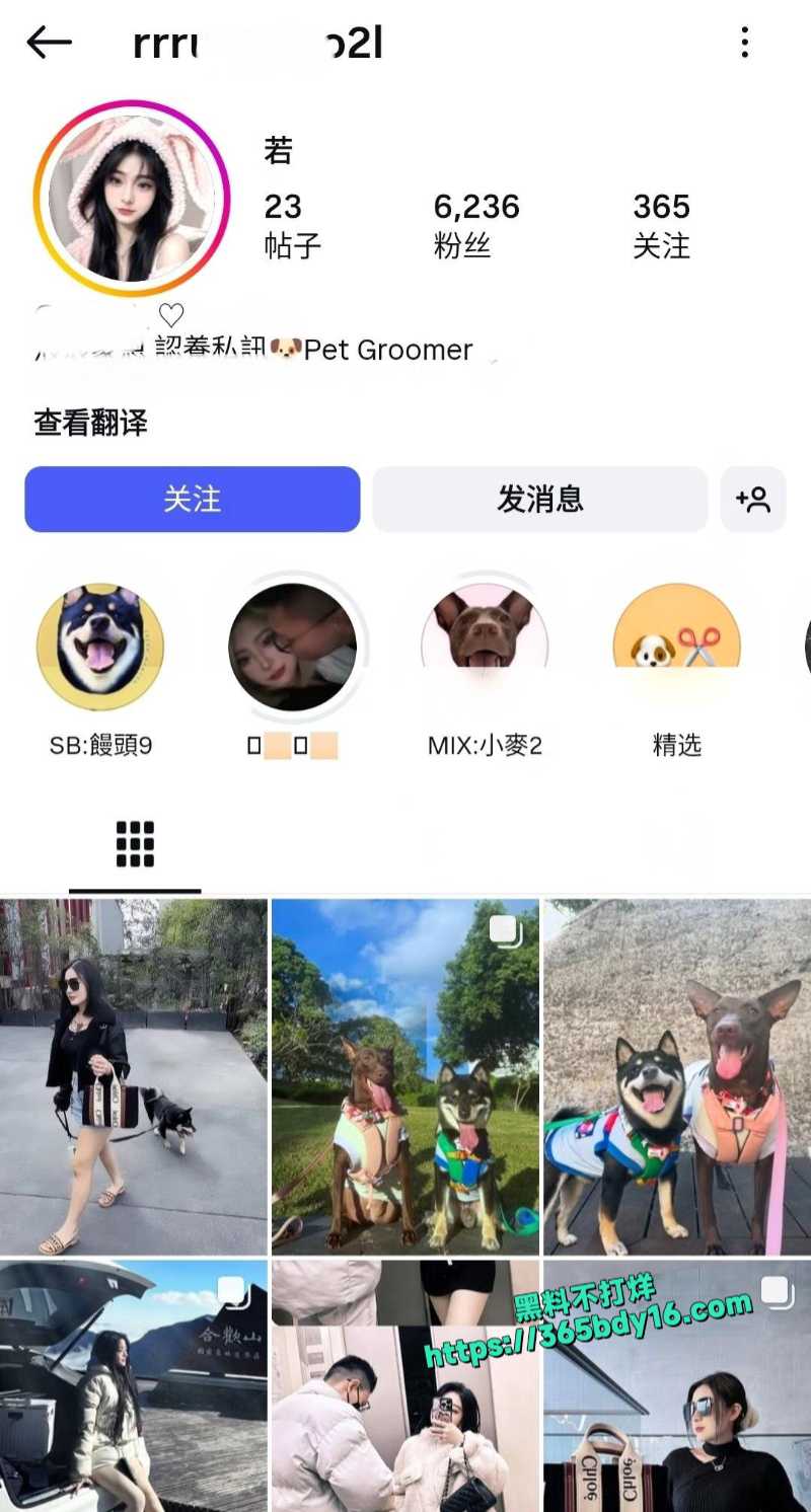 在社交媒体上坐拥6000粉丝的极品高颜值爱狗人士小若14