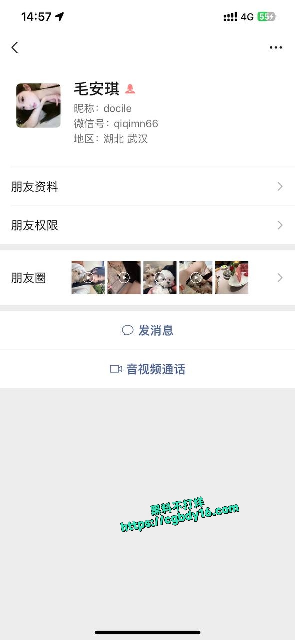 王者荣耀上分婊毛安琪 语音软件大秀女给野王哥哥线下操逼2