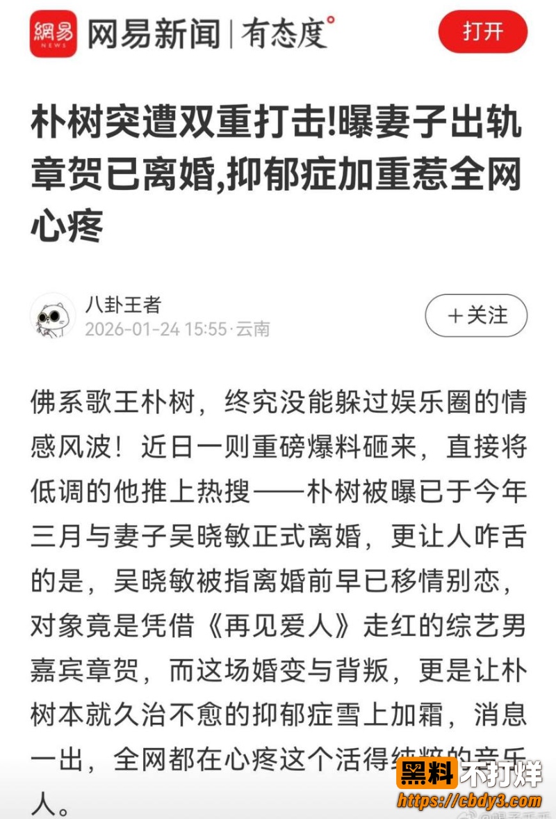 歌手朴树出轨演员王子文02