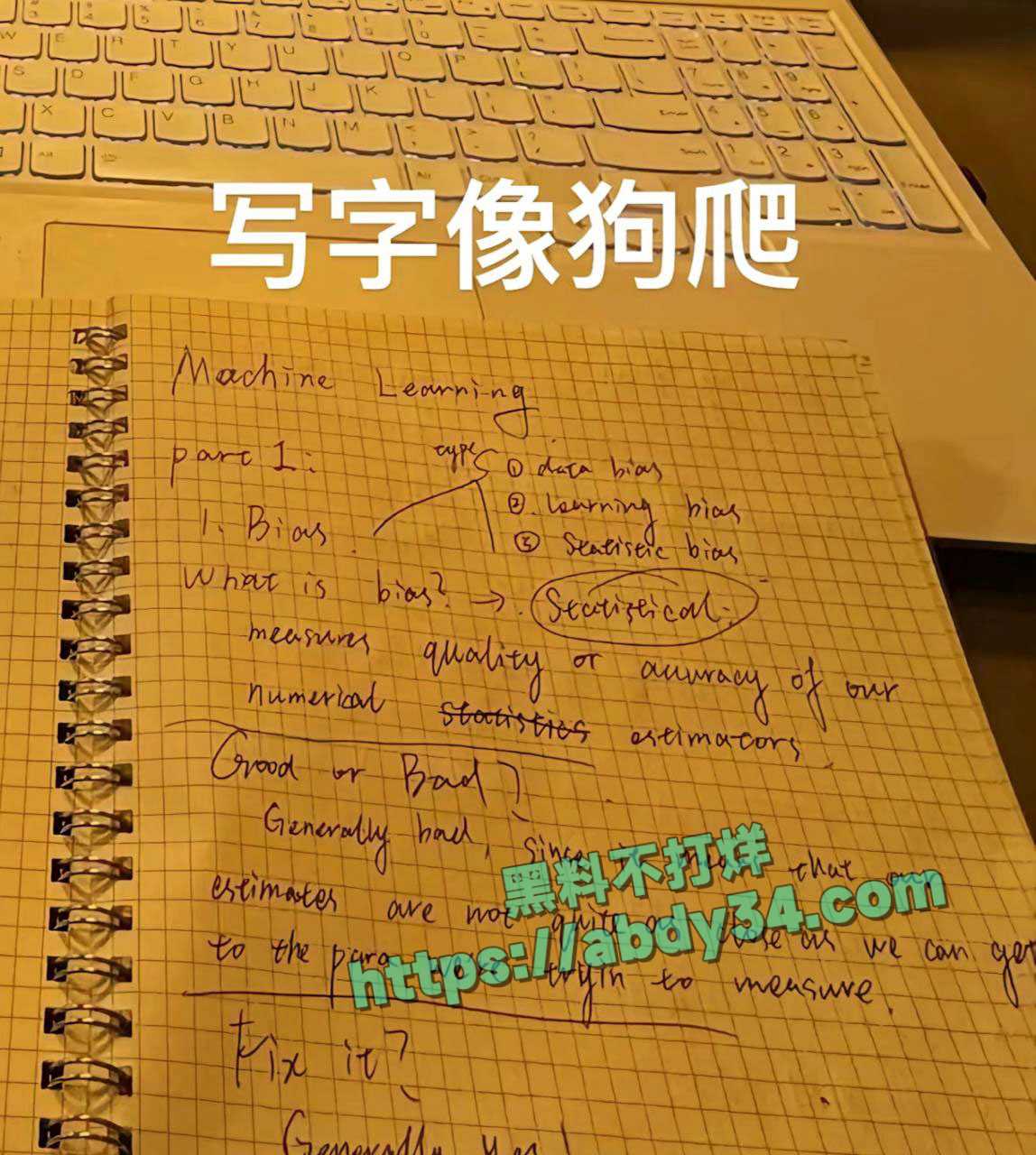 山东烟台莱州美国留子王永康 6