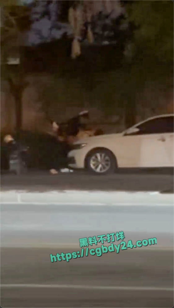 华府山水路边俩人在引擎盖上直接脱裤子开干2