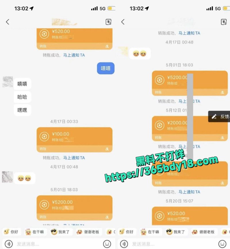 女网红鸢饱2