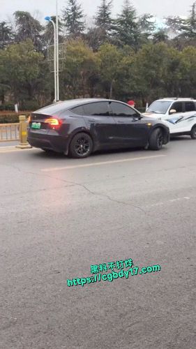 老头乐逆行老人下车给特斯拉车主一顿骂3