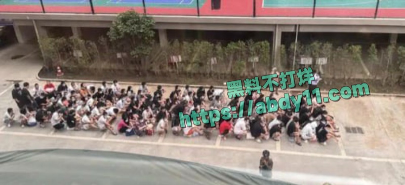 缅甸诈骗头目佘智江引渡回国 14