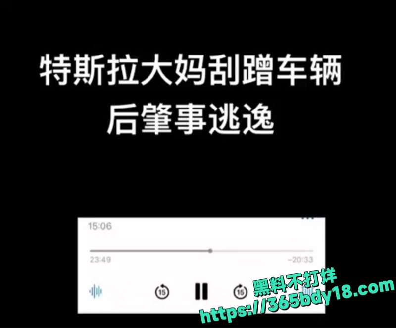 特斯拉大妈撞小鹏P7 2