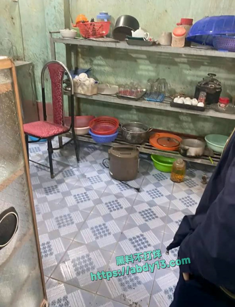 越南屠夫案凶手被捕 10