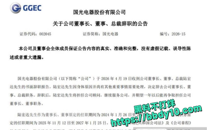国光电器前董事长陆宏达13