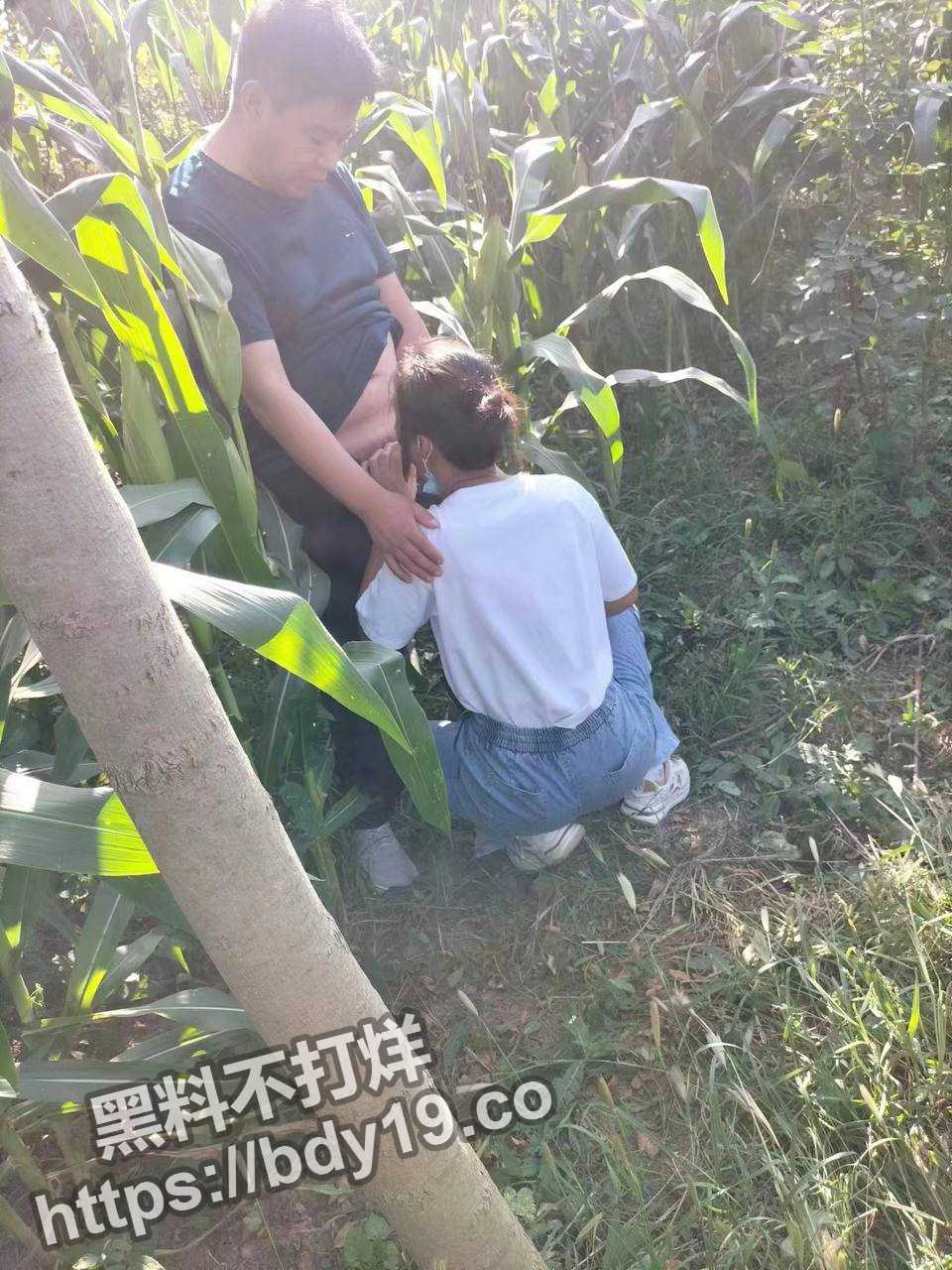 山东省卖冬枣女老板李淑红.jpg
