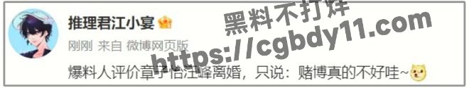 超一线明星输光10亿家产4.jpg