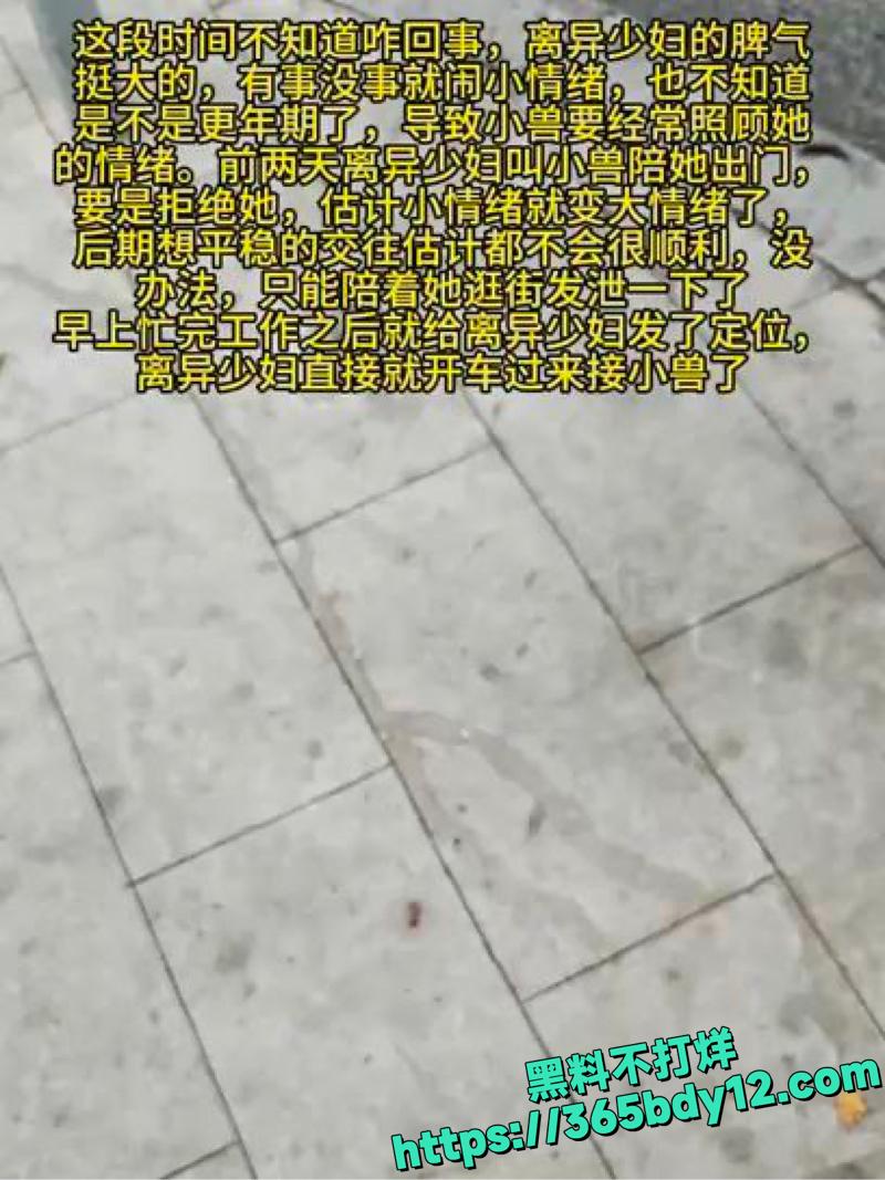 高冷奔驰贵妇停车场疯狂索取精液5.