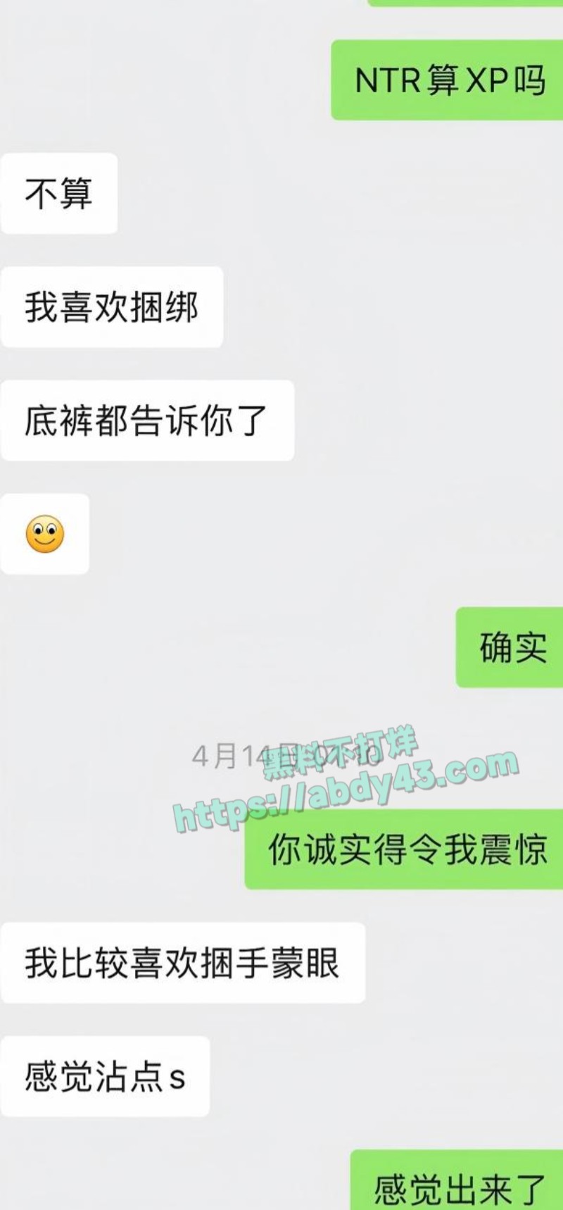 奶爸网红月野兔小樱12
