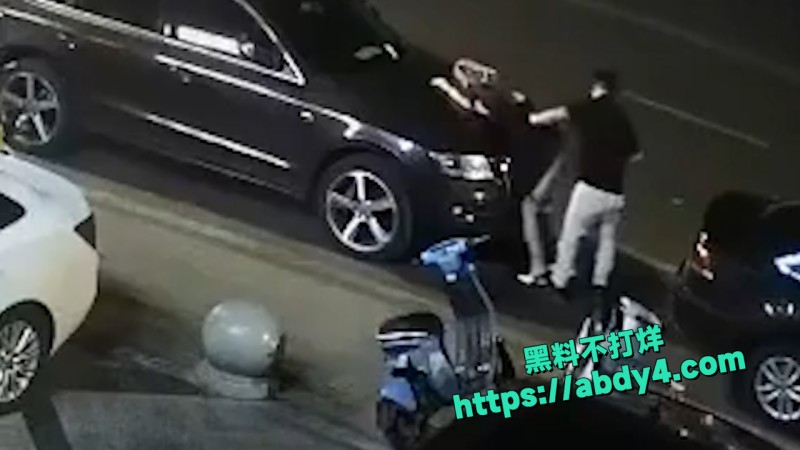 野鸳鸯精虫上脑 路边车旁激情啪啪  10
