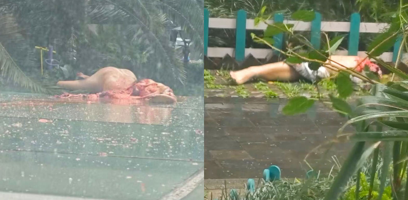 成都太古里朗御大厦跳楼事件现场画面 男子51楼跳下自杀 肢体离断现场惨不忍睹