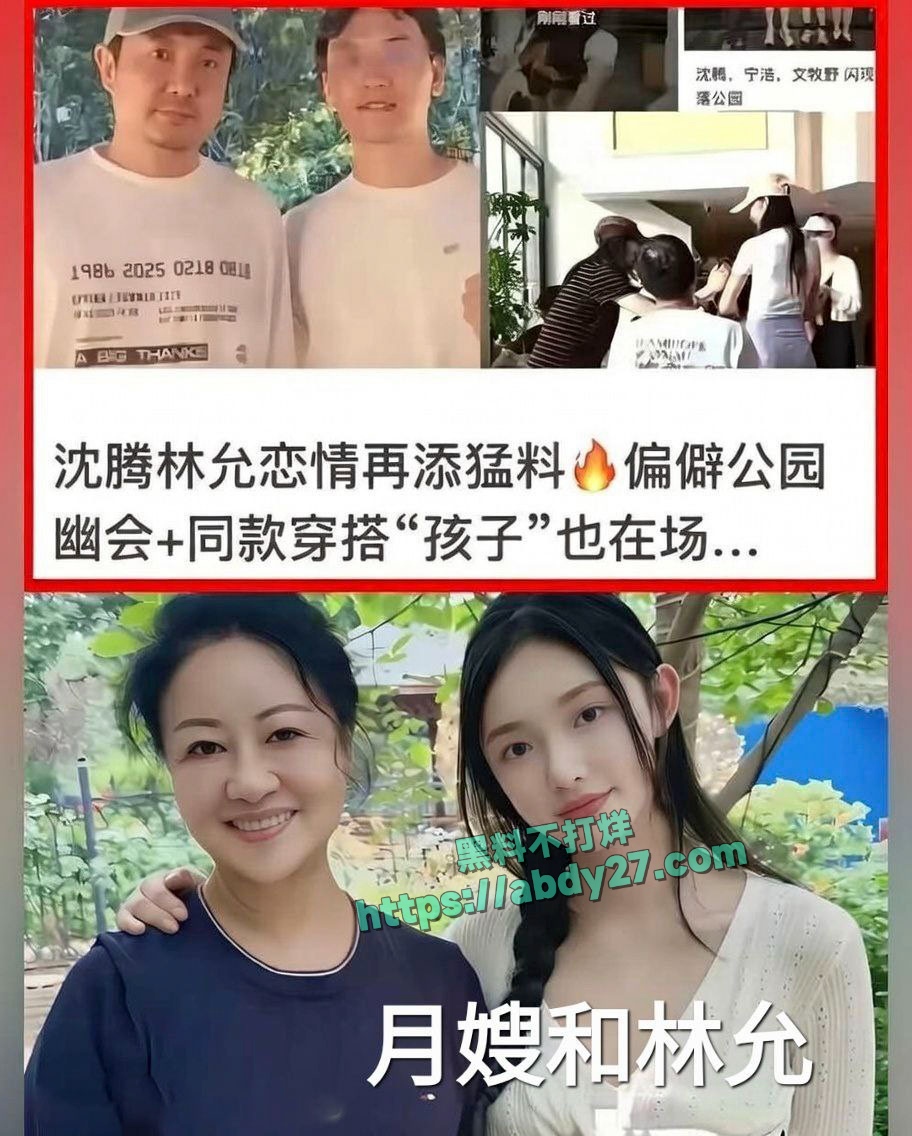 沈腾疑似出轨星女郎林允 18