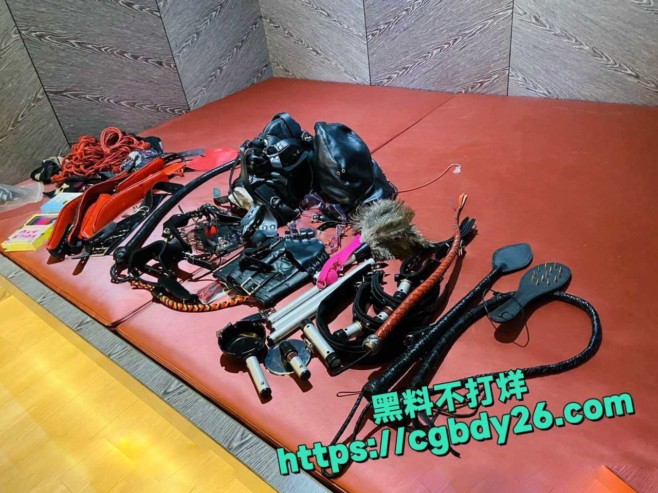 OnlyFans网红男女通吃SM调教御姐maya女王33