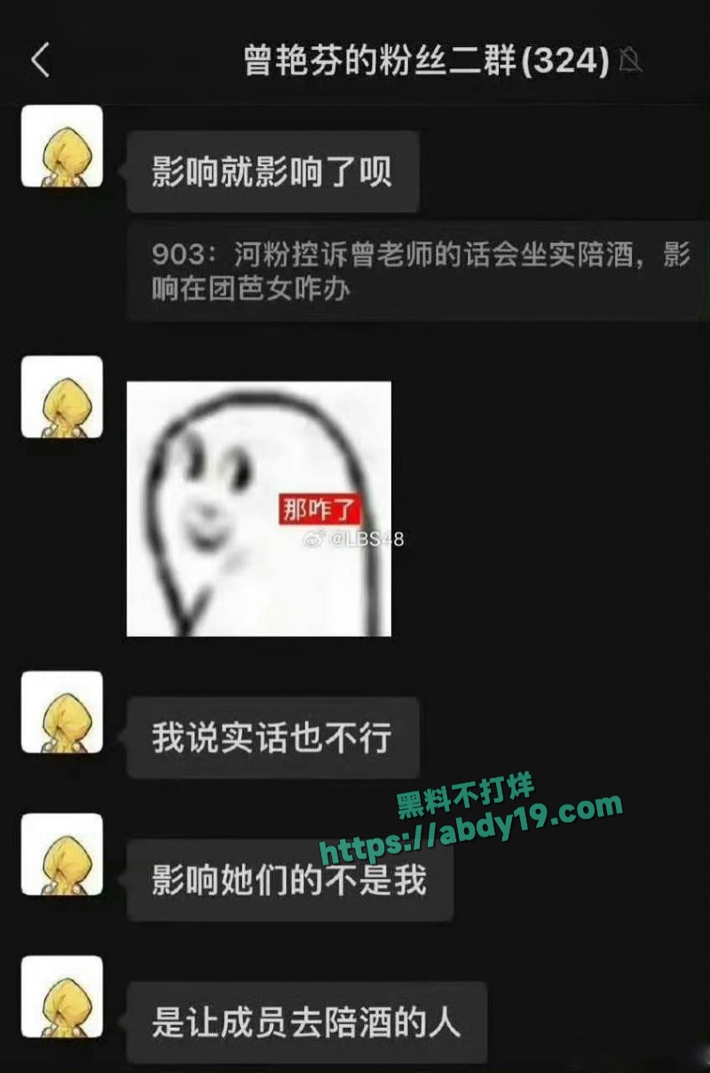 女团成员谢珊珊陪睡大佬视频 31