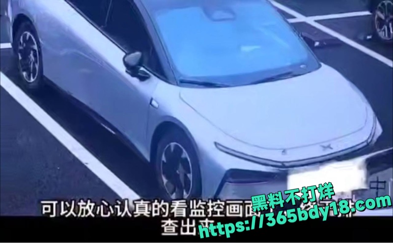 特斯拉大妈撞小鹏P7 5