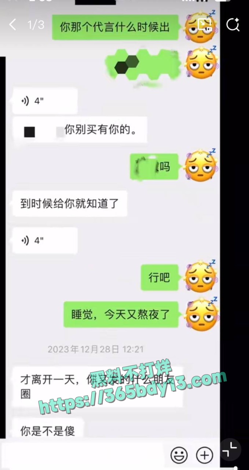 女网友与魏大勋聊天记录20