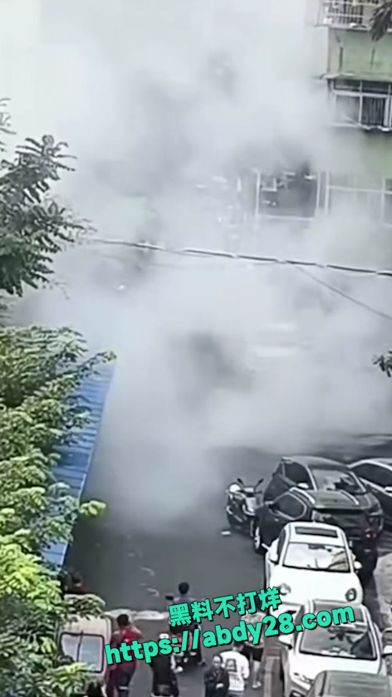 小米汽车在美容店发生起火 8