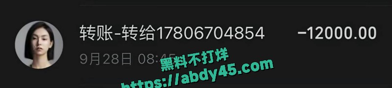 抖音网红周辰辰 11
